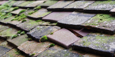 Kingston Lisle roof repair costs